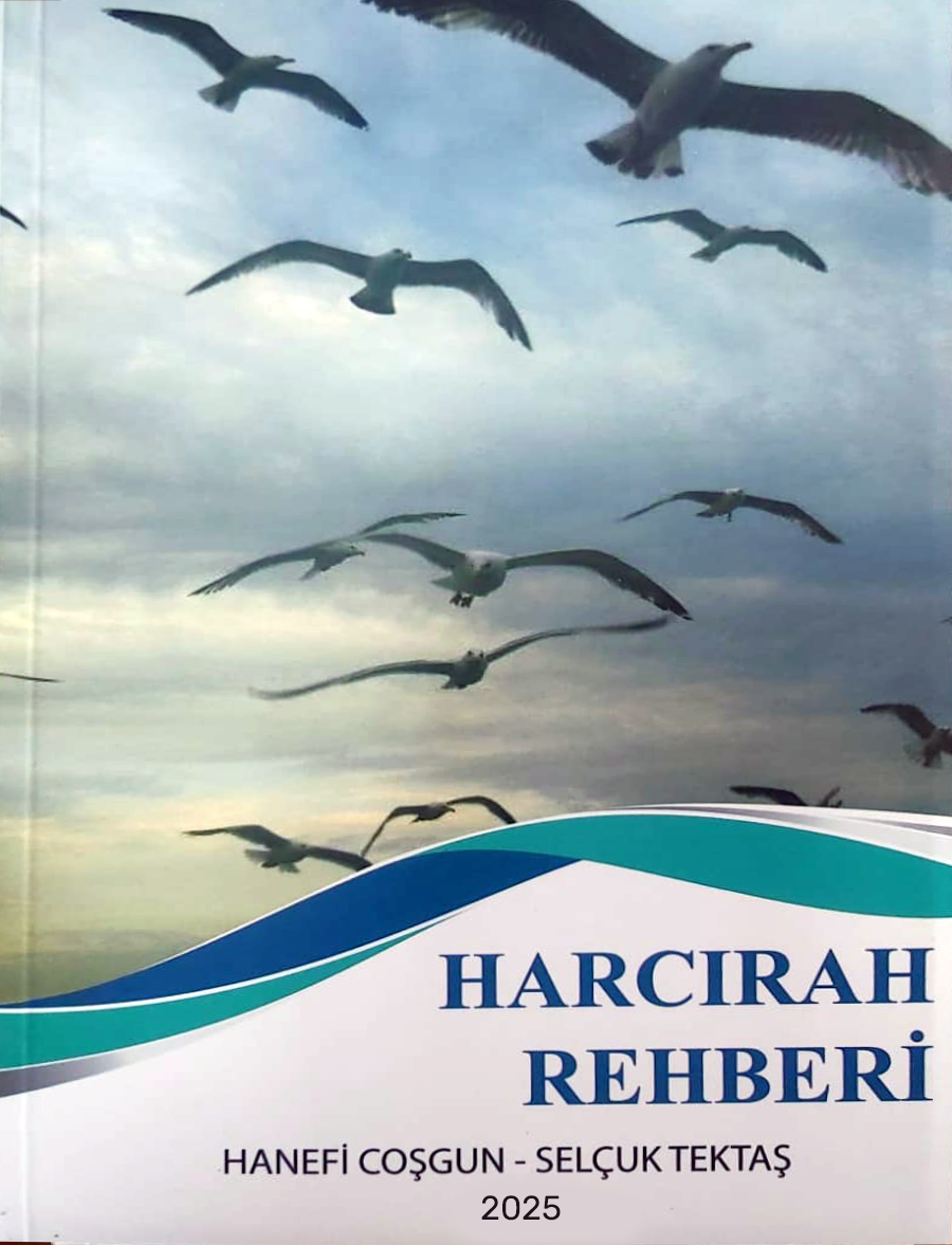 Harcırah Rehberi